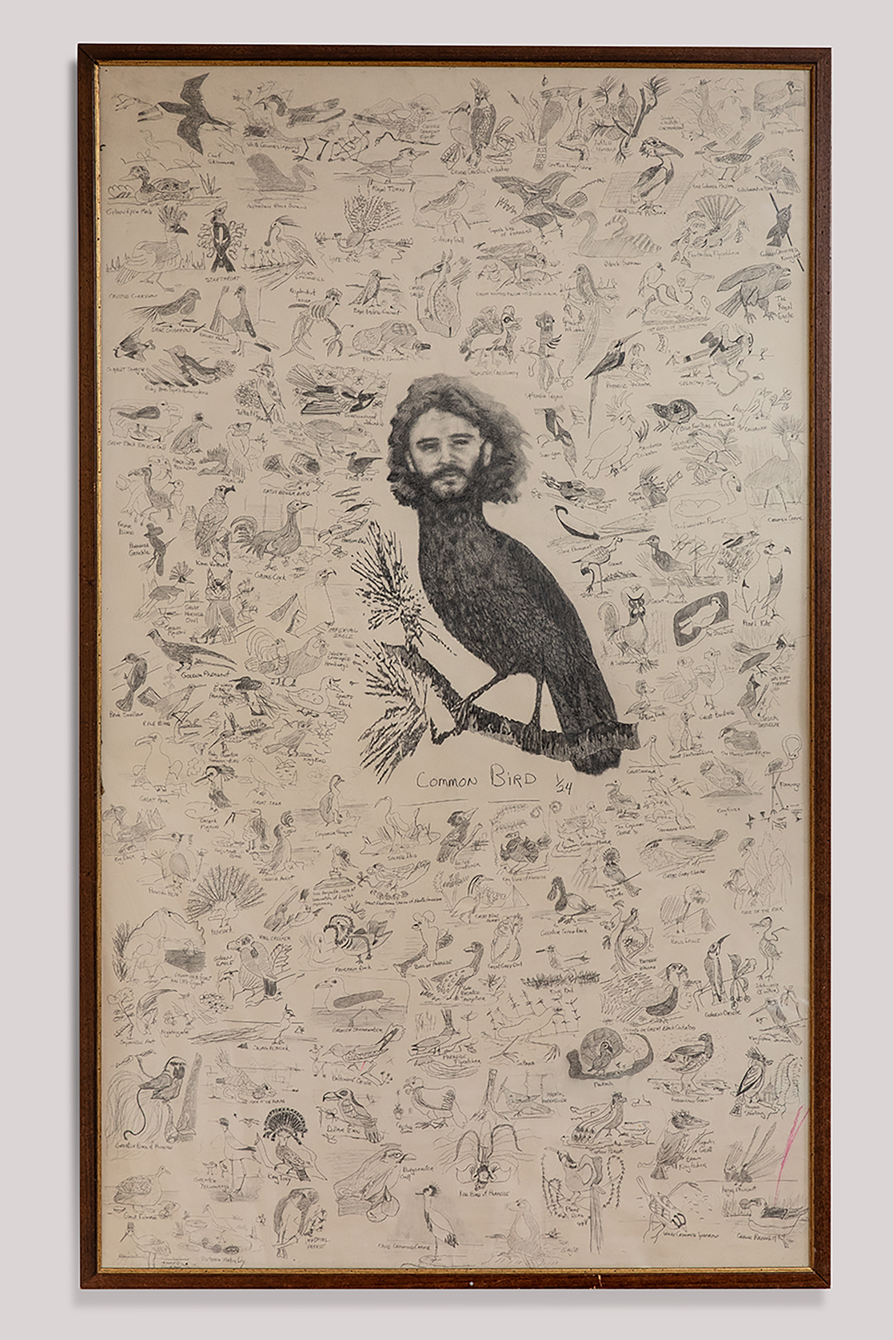 <p>Douglas Kahn, <em>Common Bird</em>, 1975. Photo: Maja Baska.</p>