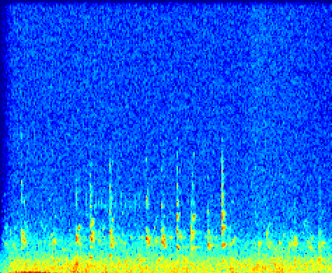 <p>Image: spectrogram of bird song on Darug and Kurringgai Country, composed by Victoria Pham.  </p>