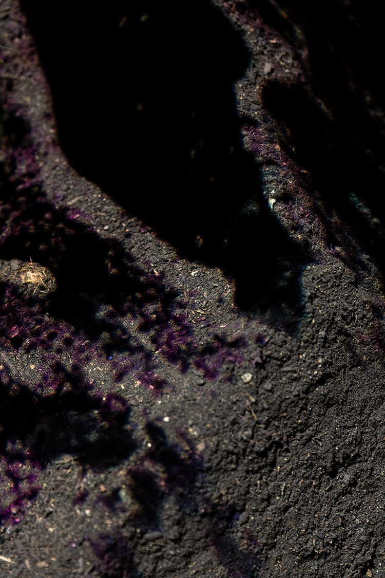 <p>Photo: Janelle Low</p>