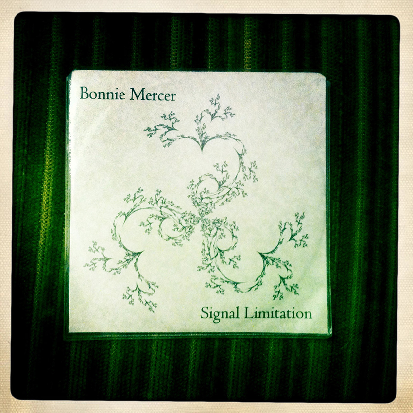 <p>Bonnie Mercer, <em>Signal Limitation</em> (2007).</p>