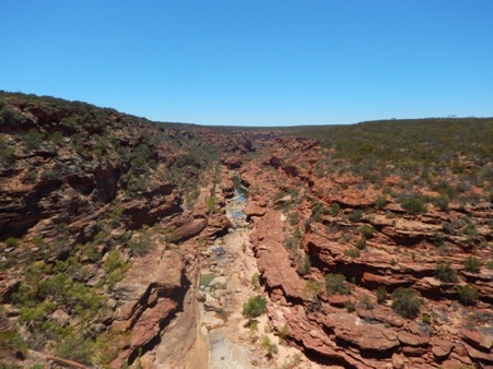 <p>A photo of the Murchison river snaking through a gorge on Nhanta country.</p>